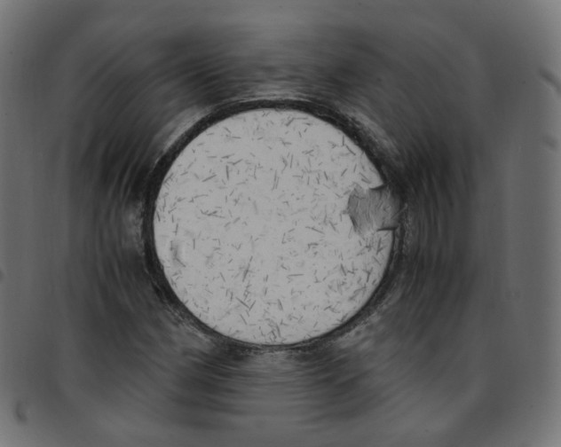 X0000096961162200803071044