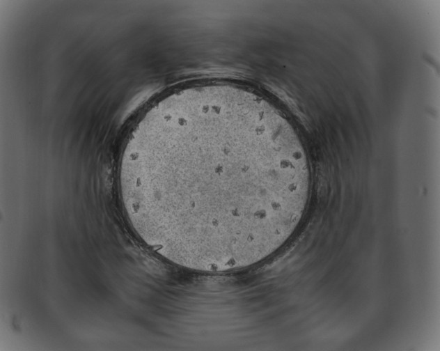 X0000096961163200803071044