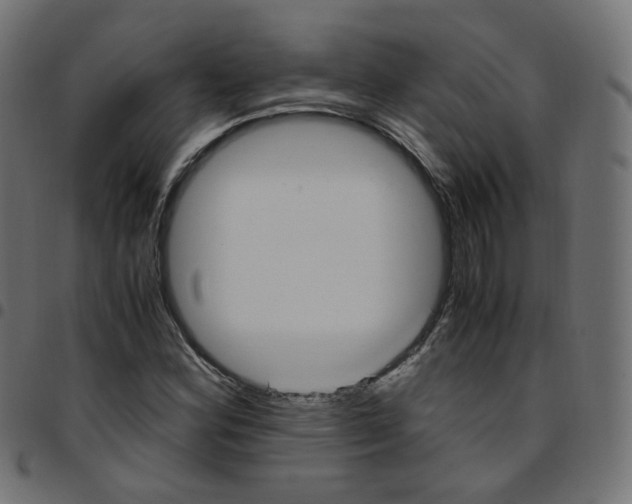 X0000096961164200803071044