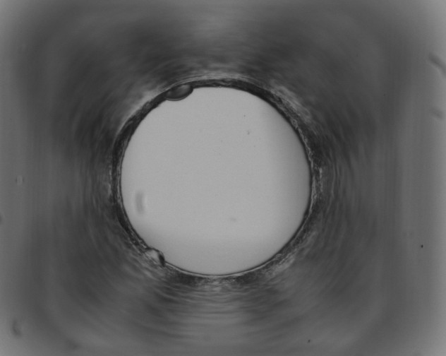 X0000096961165200803071044