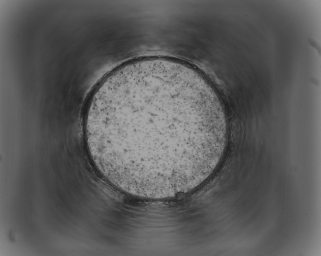 X0000096961167200803071044