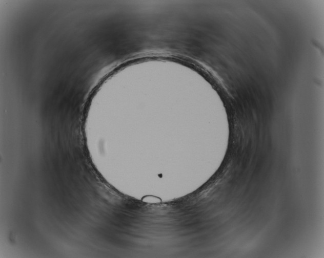 X0000096961168200803071044