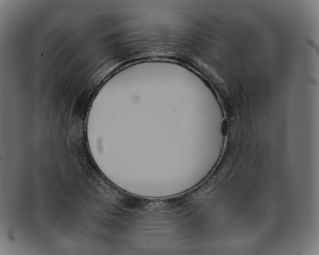 X0000096961169200803071044