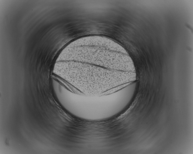 X0000096961170200803071044