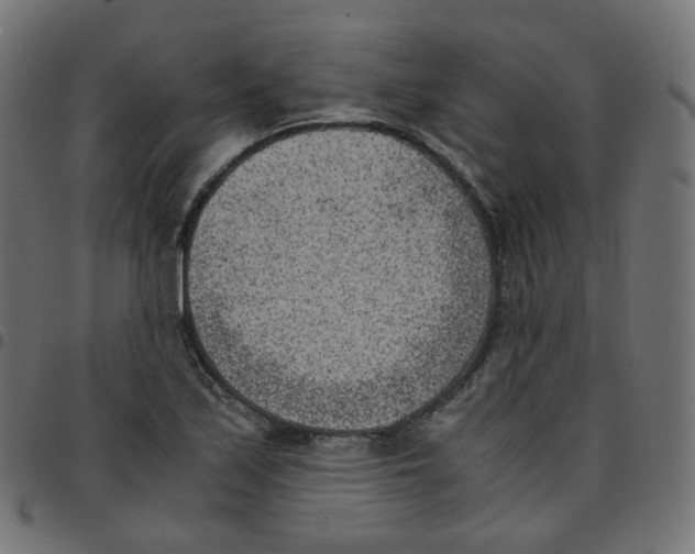 X0000096961171200803071044