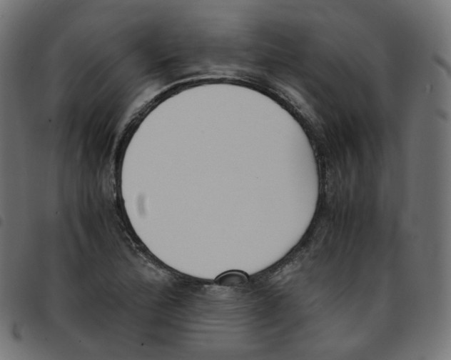 X0000096961172200803071044