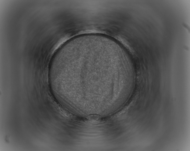 X0000096961173200803071044