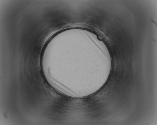 X0000096961174200803071044