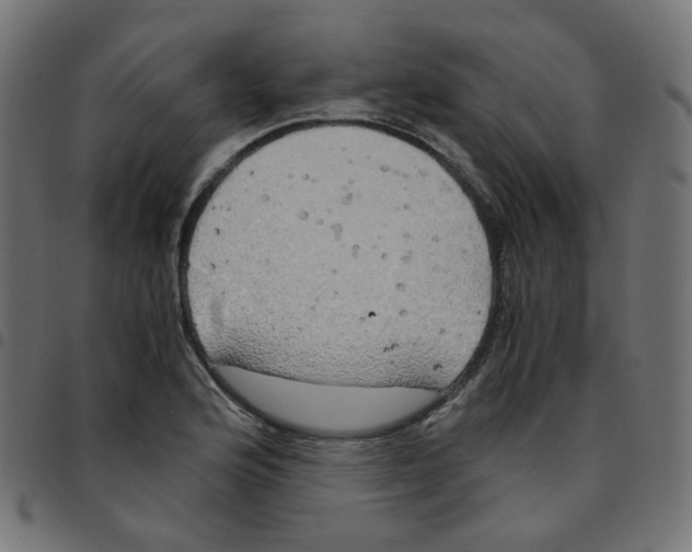 X0000096961176200803071044