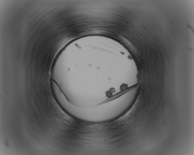 X0000096961178200803071044