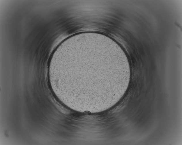 X0000096961179200803071044