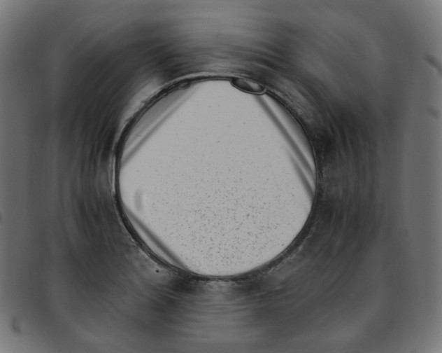 X0000096961180200803071044