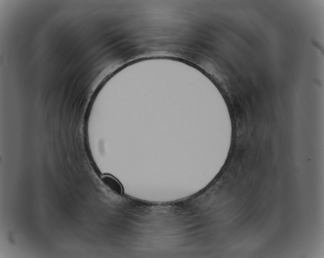 X0000096961181200803071044