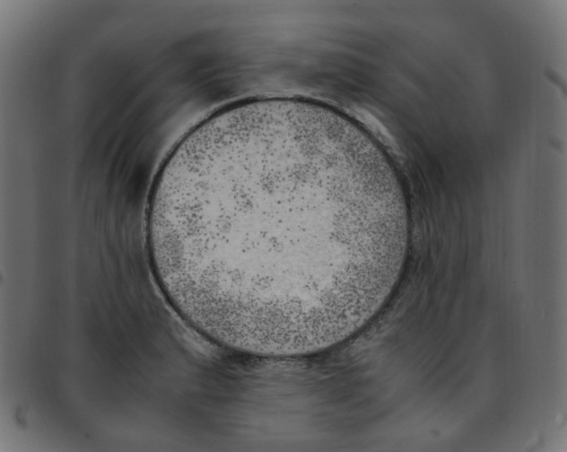 X0000096961183200803071044