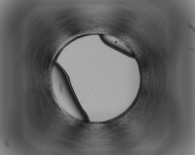 X0000096961184200803071044