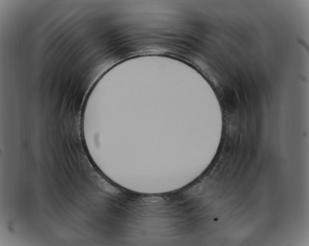 X0000096961186200803071044