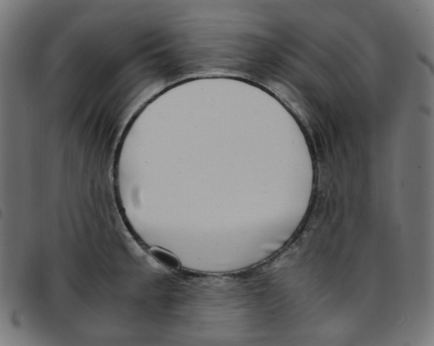 X0000096961189200803071044