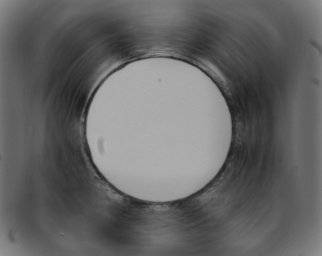 X0000096961190200803071044