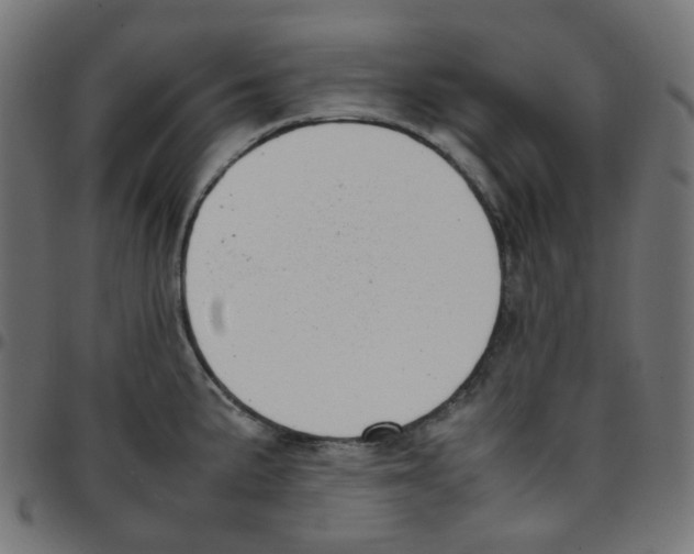 X0000096961191200803071044