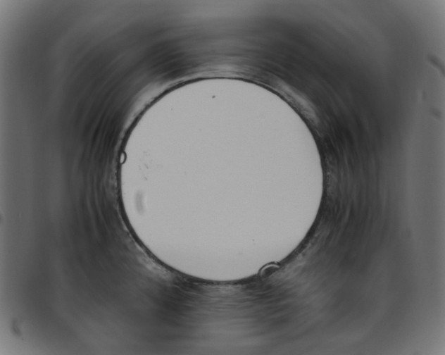 X0000096961192200803071044