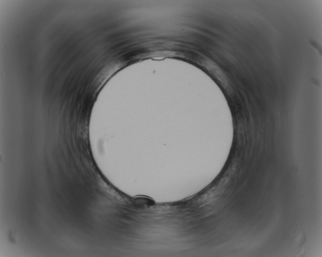 X0000096961193200803071044