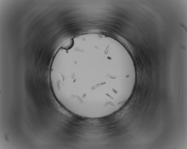 X0000096961194200803071044