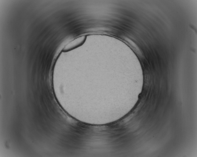 X0000096961196200803071044