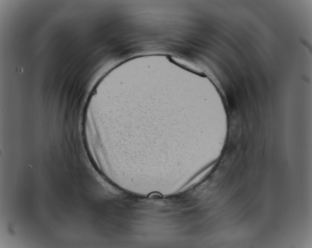 X0000096961197200803071044