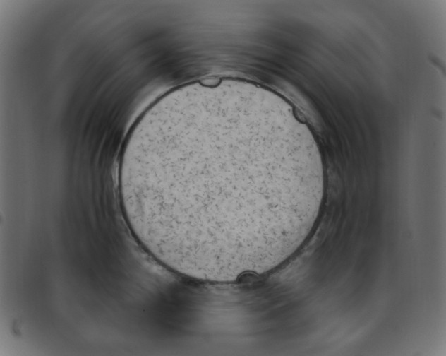 X0000096961198200803071044