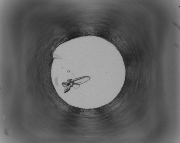 X0000096961201200803071043