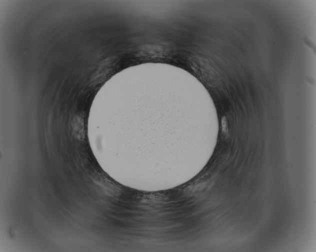 X0000096961203200803071043