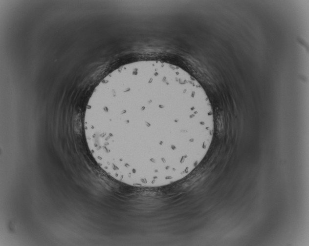 X0000096961204200803071043