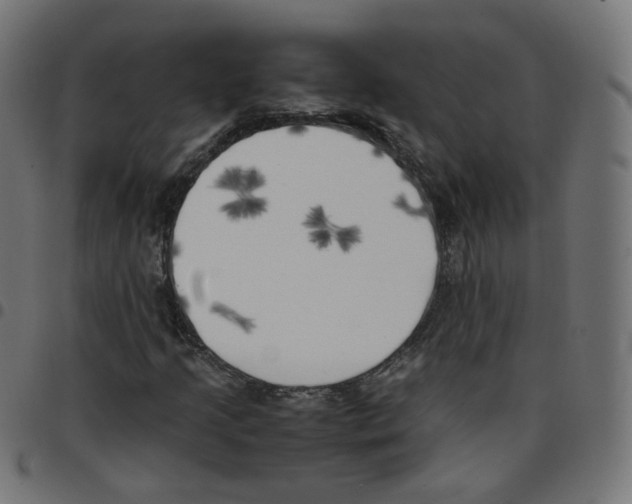 X0000096961205200803071043