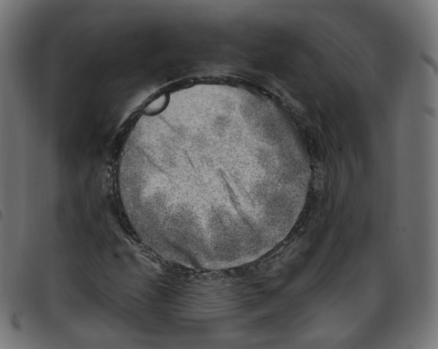 X0000096961208200803071043