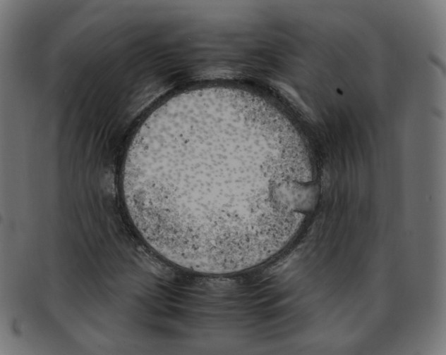 X0000096961209200803071043