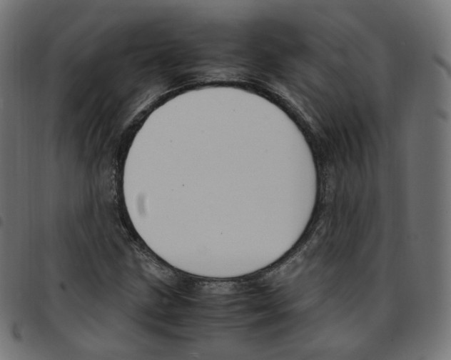 X0000096961211200803071043