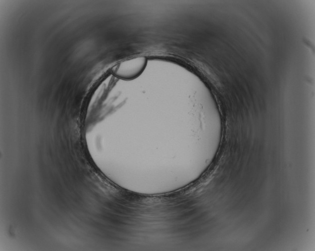 X0000096961212200803071043