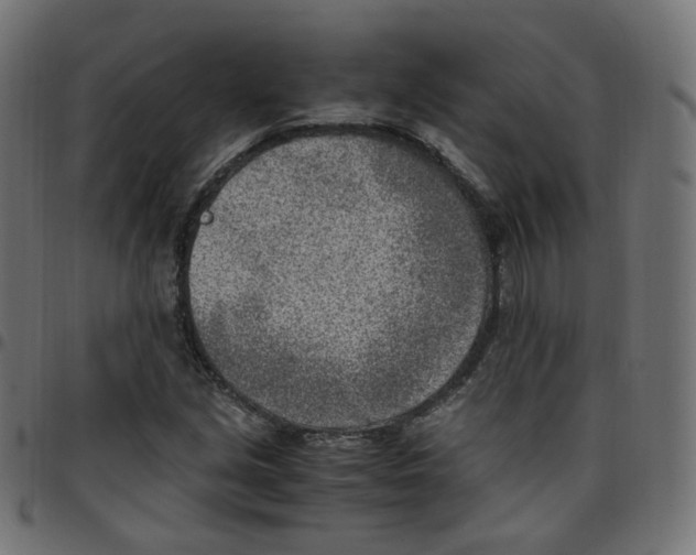 X0000096961213200803071043