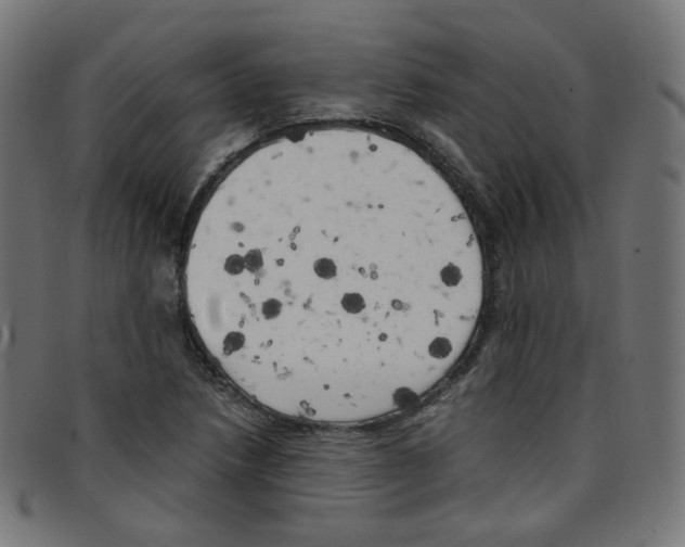 X0000096961218200803071043