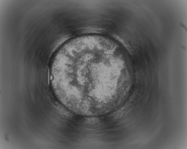 X0000096961219200803071043