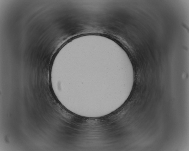 X0000096961220200803071043