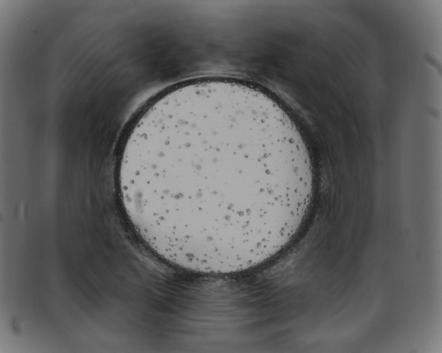 X0000096961222200803071043