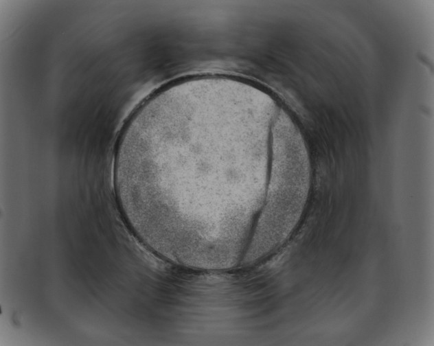 X0000096961224200803071043