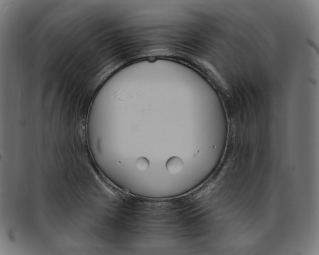 X0000096961225200803071043