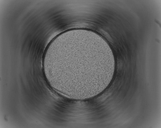 X0000096961226200803071043