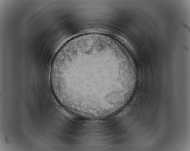 X0000096961228200803071043