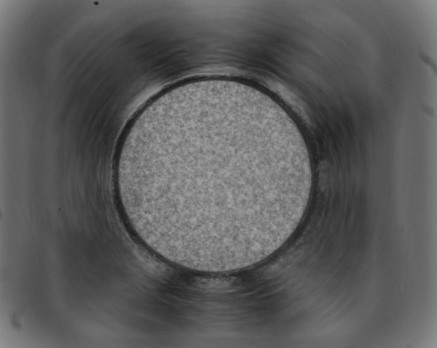 X0000096961229200803071043