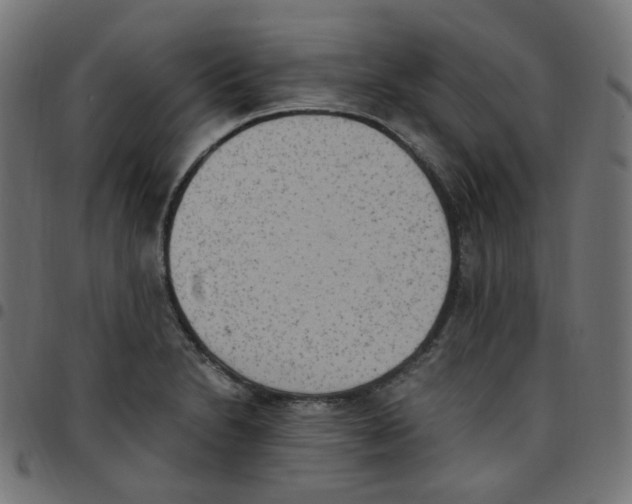 X0000096961230200803071043