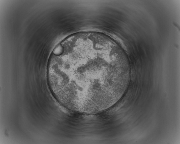 X0000096961231200803071043