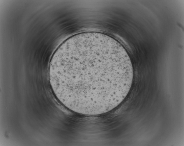 X0000096961236200803071043